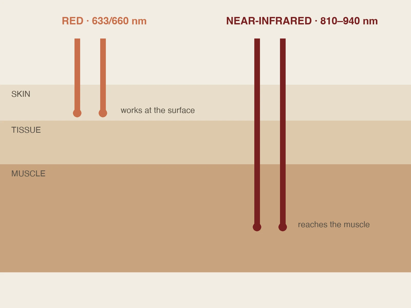 Diagram: red light works at the skin surface, near-infrared reaches down to the muscle.